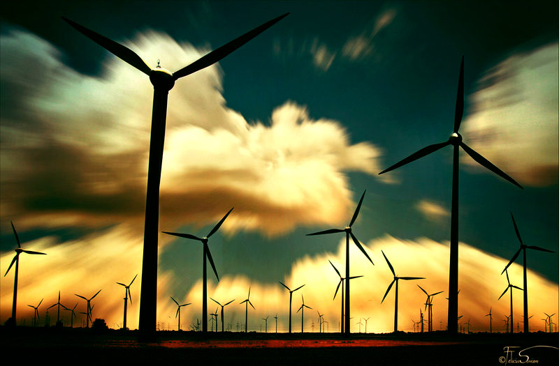 网页免费发手机号