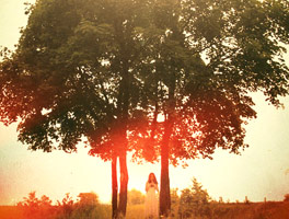 发手机号软件app