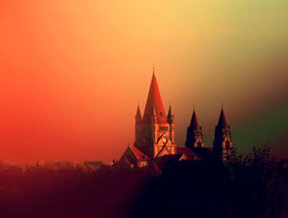 网页免费发手机号